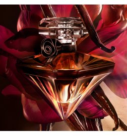 La Nuit Trésor Vanille Noire - Eau de Parfum La Nuit Trésor Vanille Noire - Eau de Parfum